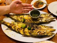 -Cabe Ijo