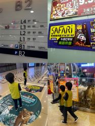 -卡通尼·Safari非洲探索乐园·生日会(金桥国际商业广场店)