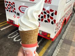 -富豪雪糕车流动点(尖沙咀)