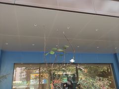 -锦江之星(广州海珠江泰路地铁站店)