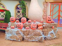 -七彩云南欢乐世界