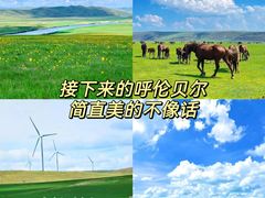 -呼伦贝尔大草原