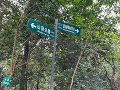 -紫金山山顶公园