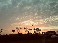 -三林塘老街