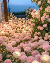 -曼格纳婚礼艺术中心(张江店)