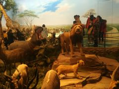 -陕西自然博物馆