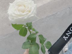 -三圣花乡旅游区