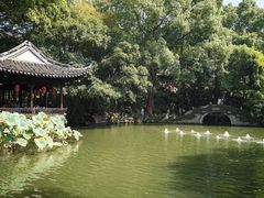 -绮园景区