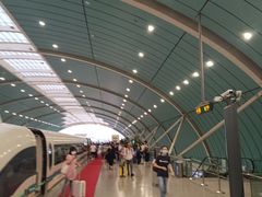 -龙阳路磁悬浮列车总站-停车场