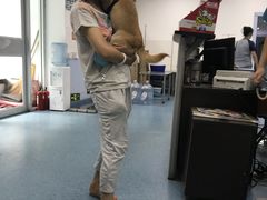 -北京赛佳动物医院