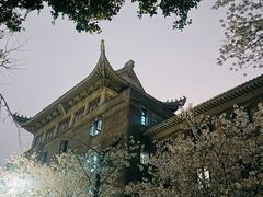 -武汉大学-樱园
