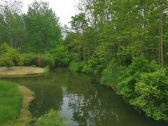 -溱湖国家湿地公园