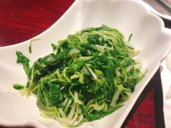 清炒鸡毛菜-集贤门·徽菜(福田店)
