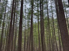 -洛阳白云山景区