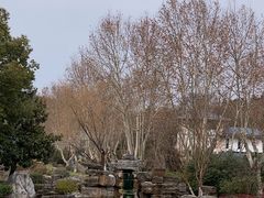 -汤山一号温泉度假区