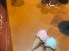 -野人先生现做冰淇淋(北京环宇荟店)