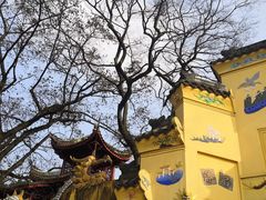 -南山植物园