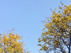 -福建天门山