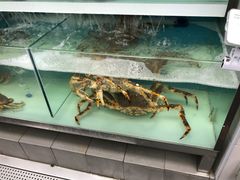-盒马鲜生(大成店)