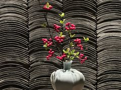 -张博士茗茶馆(外滩店)