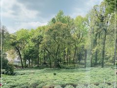 -野蔓果·山野菜(西湖景区·龙井茶田店)