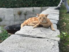 -上海月湖雕塑公园