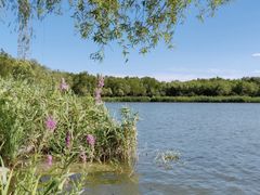 -大兴滨河森林公园