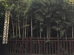-天目湖涵田半山温泉