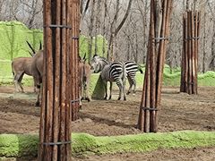 -北京野生动物园