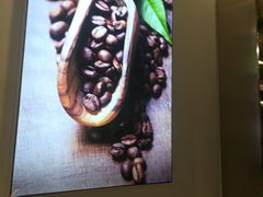 -CoCo都可(360丰产店)