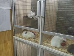 -三旗百汇商品城