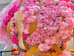 -上街里市集(悦喜客来广场店)