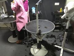 -佳百利宠物(荣乐中路115弄小区店)