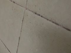 -三亚亚龙湾金棕榈度假酒店