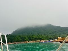 -杨梅坑