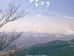 -惠山国家森林公园