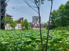 -东台西溪天仙缘景区