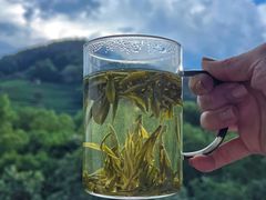 龙井茶-阿巧茶庄