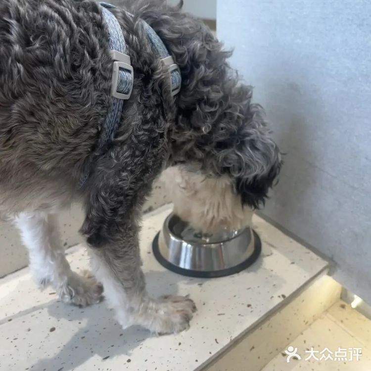 甜蜜与浓香的完美邂逅