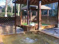 -春晖园度假酒店温泉