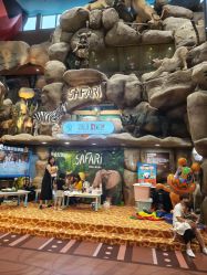 -卡通尼·Safari非洲探索乐园·生日会(金桥国际商业广场店)