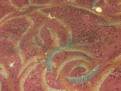 -良友·海鲜青岛菜(五四广场店)