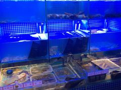 水产区-捞围鲜·港式打边炉(海阳路店)