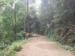 android_upload_pic-三门江国家森林公园