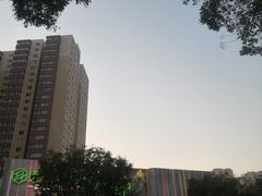 -五月花(朝阳南大街店)