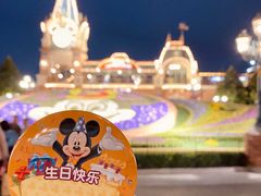 -上海迪士尼度假区