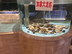 -俏江南(中山路先天下广场店)