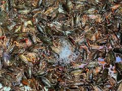 -拙味兄弟龙虾(新香洲店)