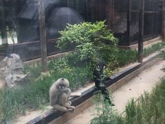 -石家庄市动物园