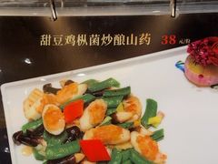 -宝园酒家(美林M·LIVE天地东座店)